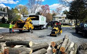 Lawn Pest Prevention in Brookdale, NJ